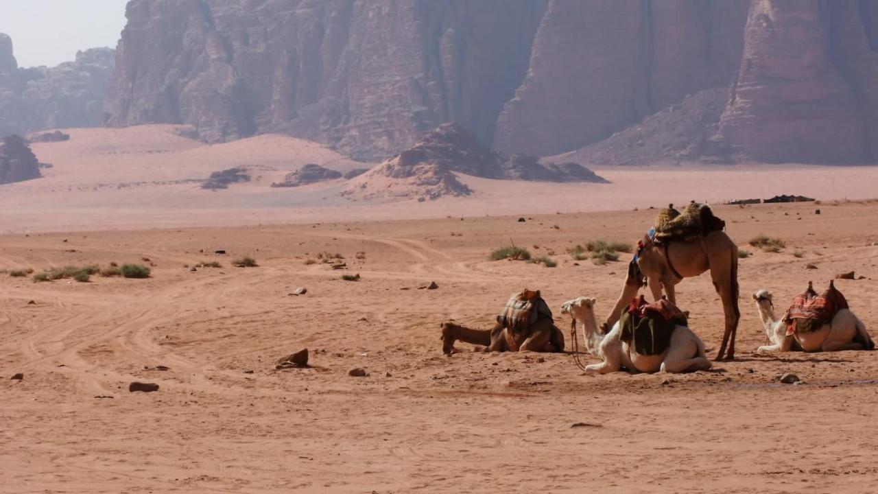 Bedouin Memories Camp Wadi Rum Exterior photo